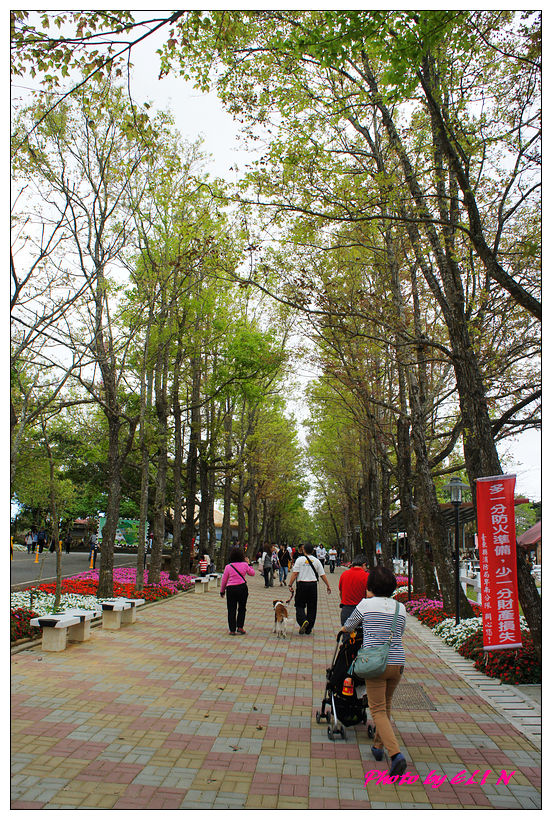 20130212.13.14-台東三日遊(初鹿牧場+伯朗大道+池上花海+池上客家文化園區+瑞穗牧場+北回歸線+大坡池+關山環繞自行車道)-3