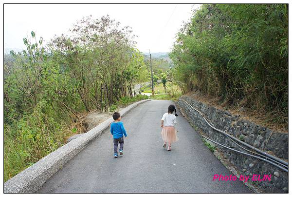 1031108-阿蓮快樂天堂&月世界山頂土雞城&月世界公園&大崗山雲起時藝術空間&賽門汕頭火鍋-89.jpg