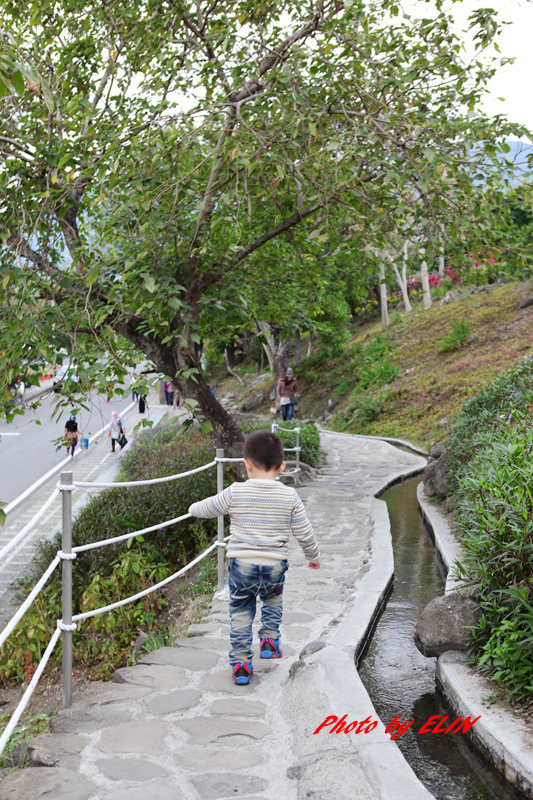 1031214.15-老東台&林家臭豆腐&豐源國小&杉原海邊餵魚&水往上流&加路蘭&知本金聯世紀酒店&台東森林公園(琵琶湖)&多良車站&近海岸全蝦餐廳-29.jpg