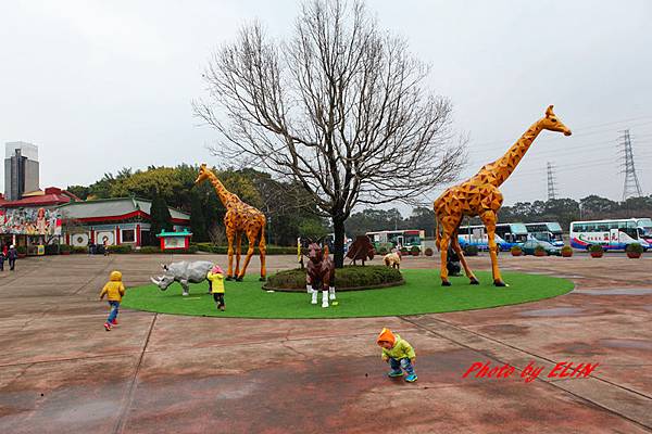 1040207.08.09-賴新魁麵館&森林鳥花園&渴望會館&六福村&錦水溫泉會館&泰安觀止&大湖採草莓&魔法莊園-42.jpg