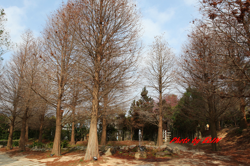 1040207.08.09-賴新魁麵館&森林鳥花園&渴望會館&六福村&錦水溫泉會館&泰安觀止&大湖採草莓&魔法莊園-192.jpg