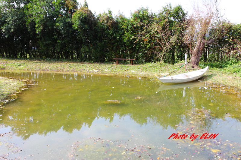 1040207.08.09-賴新魁麵館&森林鳥花園&渴望會館&六福村&錦水溫泉會館&泰安觀止&大湖採草莓&魔法莊園-196.jpg