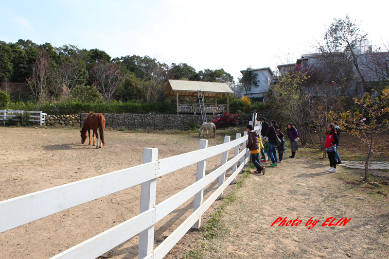 1040207.08.09-賴新魁麵館&森林鳥花園&渴望會館&六福村&錦水溫泉會館&泰安觀止&大湖採草莓&魔法莊園-200.jpg