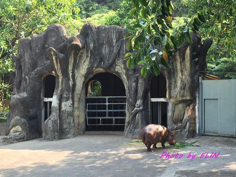 1040731-1040802-北部三日遊(台北市立動物園&貓纜貓空&新店彭園會館&北101&信義商圈&花岩山林)-20.jpg