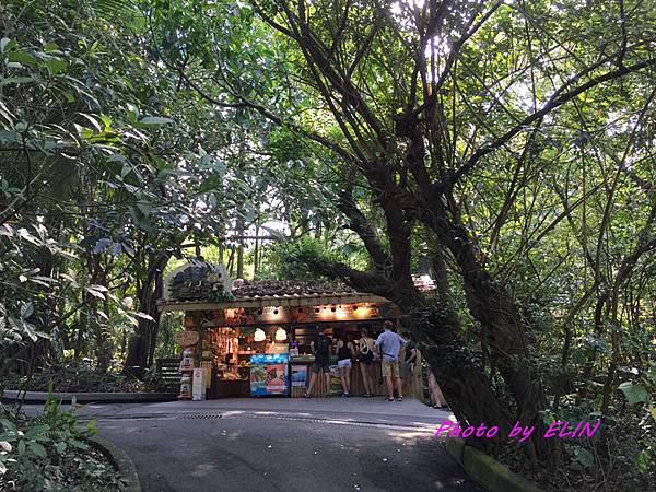 1040731-1040802-北部三日遊(台北市立動物園&貓纜貓空&新店彭園會館&北101&信義商圈&花岩山林)-23.jpg