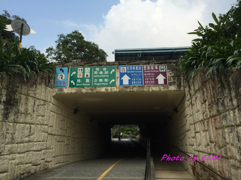 1040731-1040802-北部三日遊(台北市立動物園&貓纜貓空&新店彭園會館&北101&信義商圈&花岩山林)-27.jpg