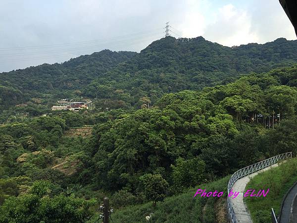 1040731-1040802-北部三日遊(台北市立動物園&貓纜貓空&新店彭園會館&北101&信義商圈&花岩山林)-48.jpg