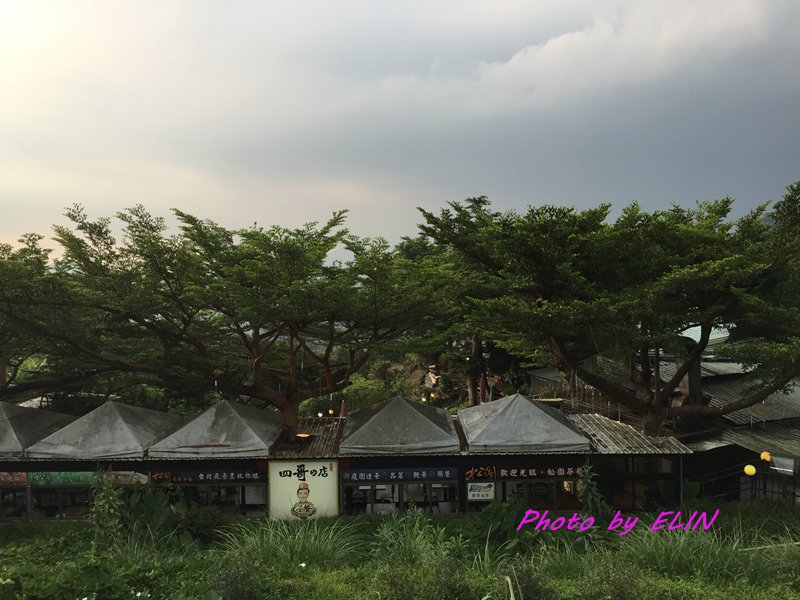 1040731-1040802-北部三日遊(台北市立動物園&貓纜貓空&新店彭園會館&北101&信義商圈&花岩山林)-52.jpg