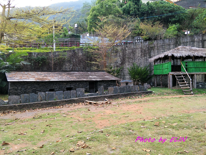 1070303.04-茂林春天生態農場露營趣&里港文富餛飩&多納部落-15.jpg