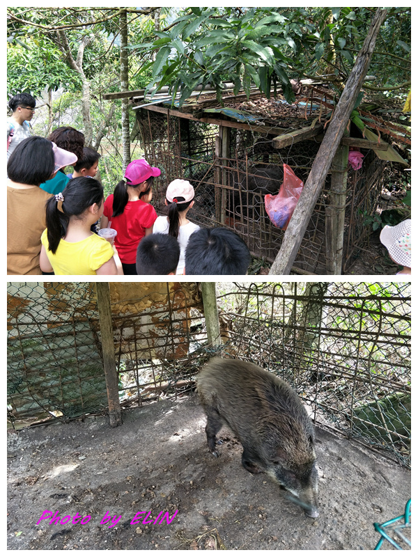 1070303.04-茂林春天生態農場露營趣&里港文富餛飩&多納部落-47.jpg