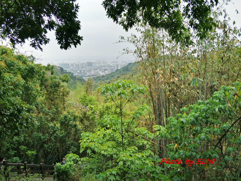 4070405.6.7-台中太平臻愛小山露營趣&大坑步道&東東芋圓&坪林森林公園&太平隆手工肉圓&員林海盜王鍋物&員林百果山風景區-38.jpg