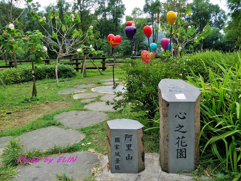 1071009.10-嘉義半天岩梅王露營慶生趣&劉里長雞肉飯&貓尾巴麵包店&初禾&旺萊山愛情大草原&半天岩鵝肉鴨肉小吃-58.jpg