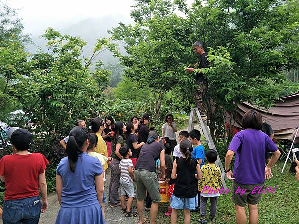 1080427.28-阿里山石窯園與螢共枕露營趣&奮起湖-27.jpg