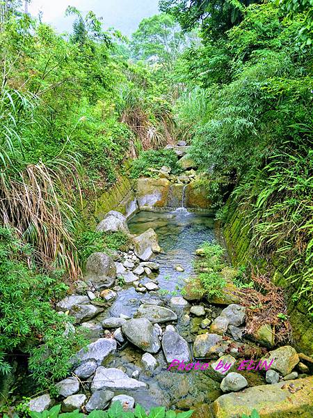 1080427.28-阿里山石窯園與螢共枕露營趣&奮起湖-28.jpg