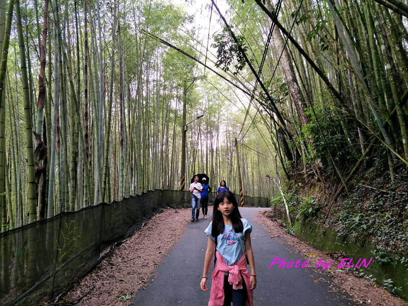 1080503.04.05-大雪山觀山嶺露營趣&黃牛肉水餃館&北屯兒童公園&橫嶺山自然步道-32.jpg