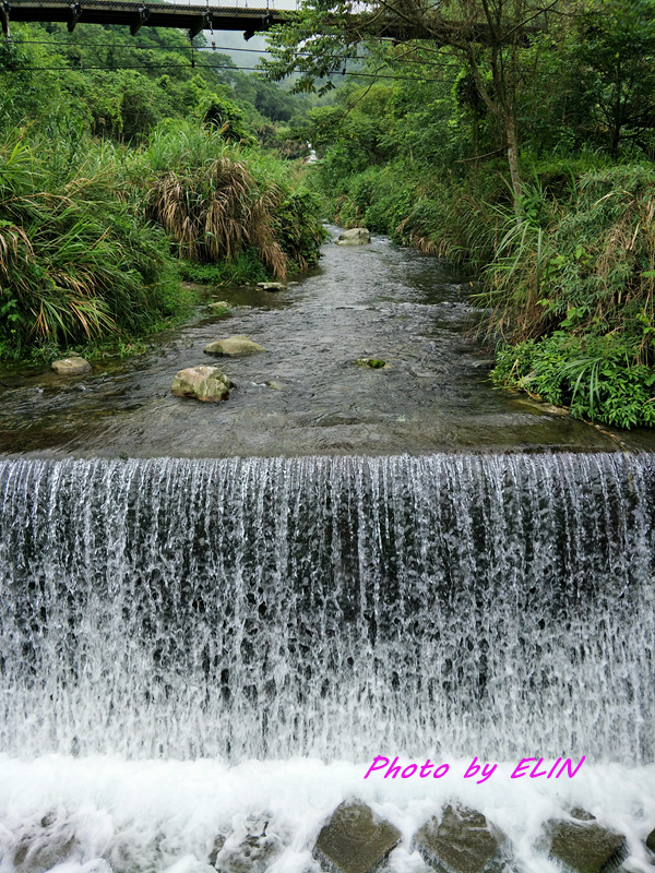 1080503.04.05-大雪山觀山嶺露營趣&黃牛肉水餃館&北屯兒童公園&橫嶺山自然步道-33.jpg