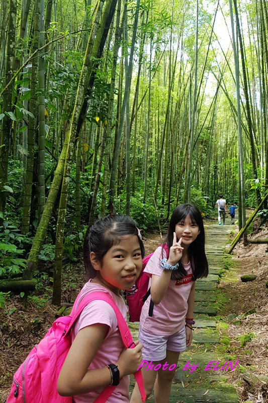 1080607.08.09-阿里山光華露營區&迷糊步道-32.jpg