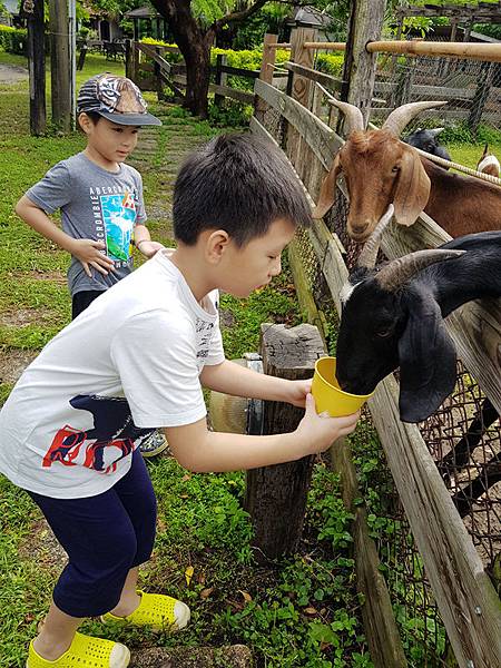 1080831-墾丁石牛溪農場(托斯卡尼)&香堤綠園&車城福安宮&黃家綠豆蒜&YELLOW HOUSE&鄉村冬粉鴨-45-2.jpg