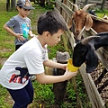 1080831-墾丁石牛溪農場(托斯卡尼)&香堤綠園&車城福安宮&黃家綠豆蒜&YELLOW HOUSE&鄉村冬粉鴨-45-2.jpg