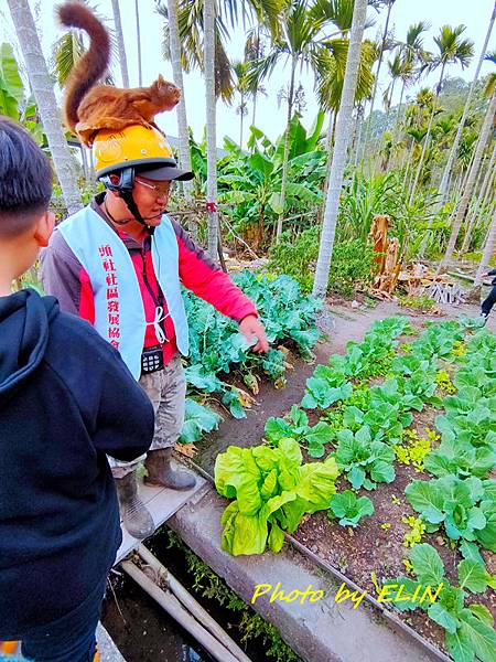 1090118.19-森春自在 泥炭土跳動露營趣-42.jpg