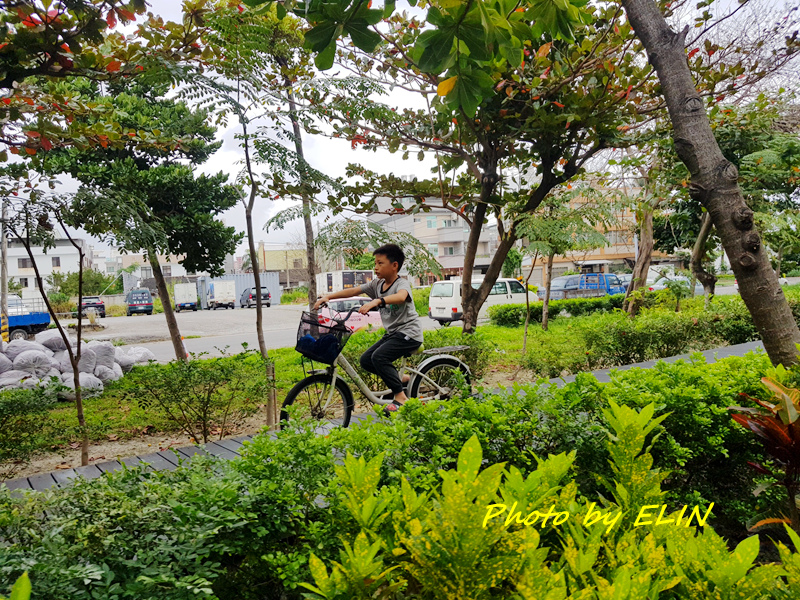 1090228-0301-台東初鹿健康羊牧場露營趣%26;鼎倫牛肉麵%26;國立台灣史前文化博物館%26;小玉餐館%26;山海鐵馬道單車行%26;加路蘭海岸%26;富山護魚區%26;花橋海鮮蒸氣火鍋%26;鐵花村-64.jpg