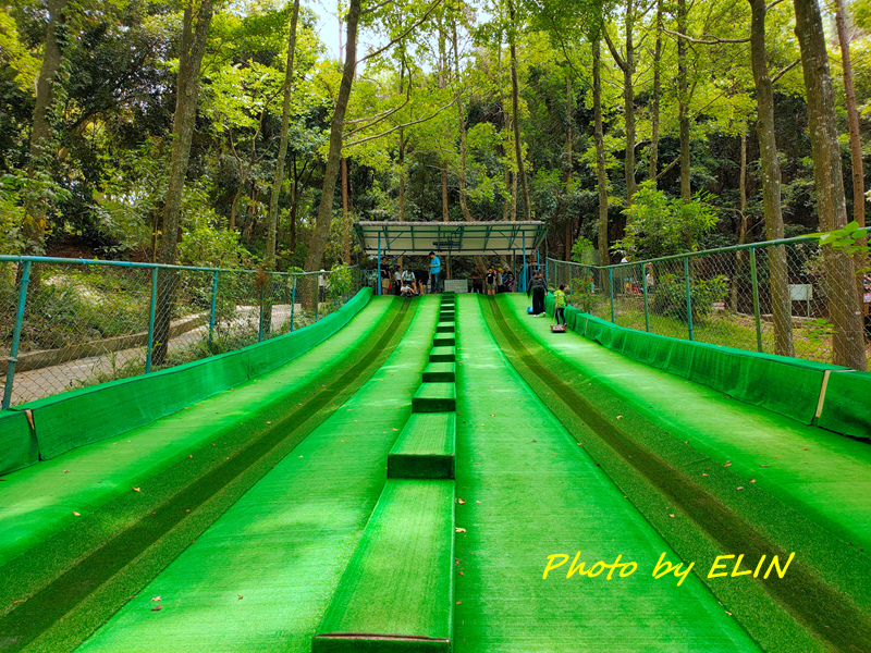 1090501.02.03-山暉甜園農場露營趣%26;東勢林場%26;盛東餃子館%26;東勢黃牛肉水餃館%26;東勢鮮蝦大餛飩-24.jpg