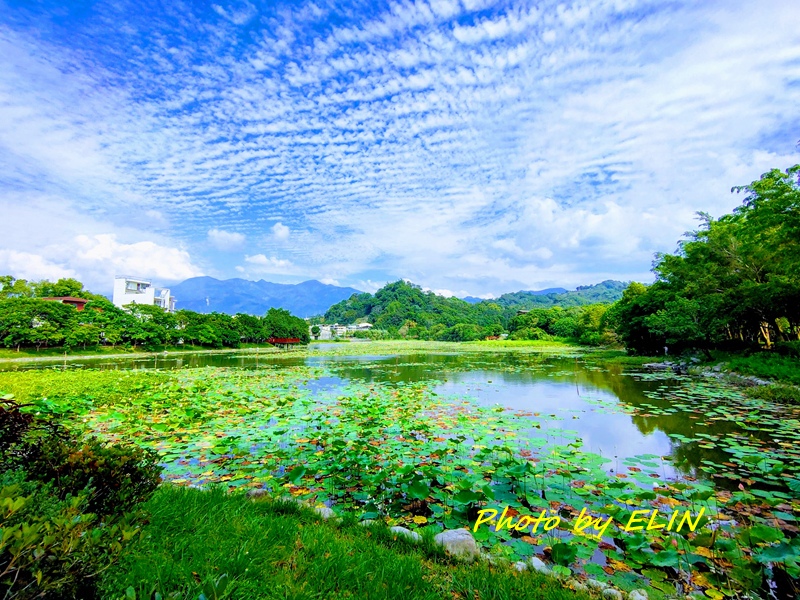 1090501.02.03-山暉甜園農場露營趣%26;東勢林場%26;盛東餃子館%26;東勢黃牛肉水餃館%26;東勢鮮蝦大餛飩-81.jpg