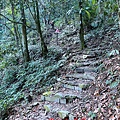 1101030-人生第一座小百岳「尾寮山」-28.jpg