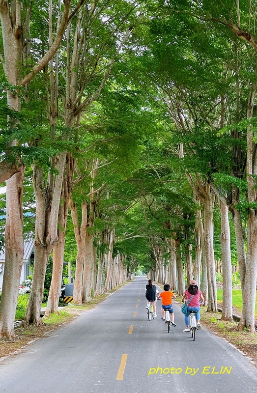 1110604.05-台東兩日遊（大武濱海公園_台九線9420_金崙鼎倫牛肉麵_鹿野龍田單車步道_鹿野阿度的店_鹿野神社_鐵花村微光集_知本國家森林遊樂區-18.jpg