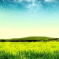 green-landscape