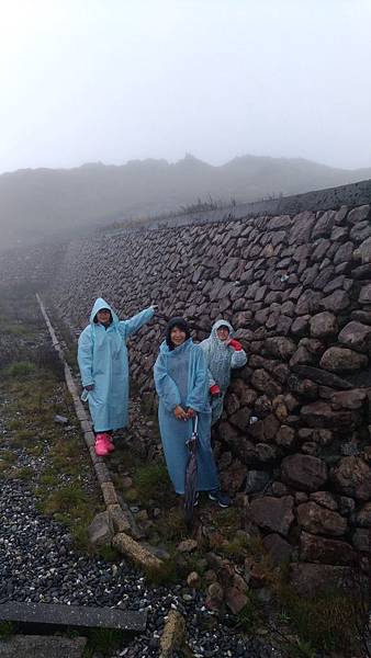 10856雨天依然勇敢上合歡山賞杜鵑_190506_0019.jpg