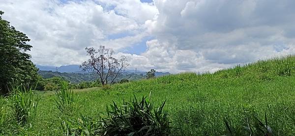 2020813銅鏡山林步道_200813_3.jpg