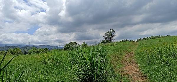 2020813銅鏡山林步道_200813_0.jpg