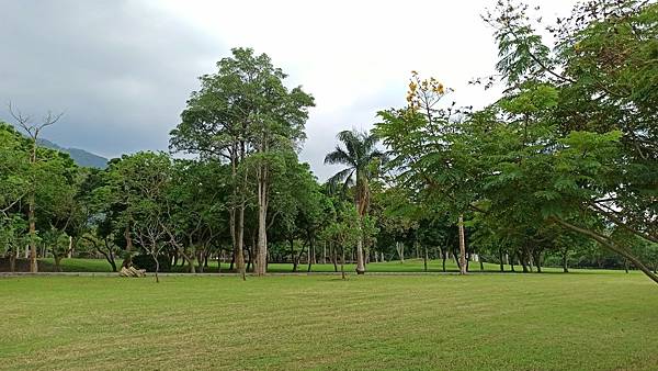 2020915大埔青雲瀑布，情人公園，海濱公園_200916_15.jpg