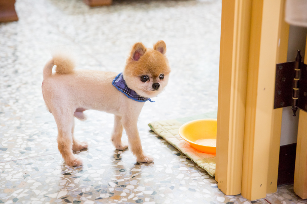 婚攝尹林婚禮,婚攝阿斌師,婚禮紀錄,北部婚攝,中部婚攝,南部婚攝,台北婚攝,台北婚禮紀錄,台中婚攝,台中婚禮紀錄,台南婚攝,台南婚禮紀錄,高雄婚攝,高雄婚禮紀錄,優質婚攝,口碑婚攝,結婚,訂婚,教堂婚禮,教會婚禮,海外婚禮,weddingday,非常婚禮, 全國麗園,全國麗園婚宴會館,訂婚午宴2015-05-24-07h38m38.jpg 婚攝尹林婚禮,婚攝阿斌師,婚禮紀錄,北部婚攝,中部婚攝,南部婚攝,台北婚攝,台北婚禮紀錄,台中婚攝,台中婚禮紀錄,台南婚攝,台南婚禮紀錄,高雄婚攝,高雄婚禮紀錄,優質婚攝,口碑婚攝,結婚,訂婚,教堂婚禮,教會婚禮,海外婚禮,weddingday,非常婚禮, 全國麗園,全國麗園婚宴會館,訂婚午宴2015-05-24-07h38m38.jpg