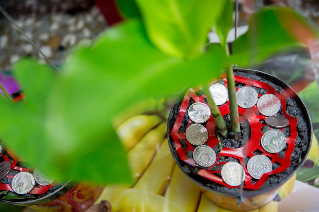 2015-05-24-08h30m52.jpg 2015-05-24-08h30m52.jpg