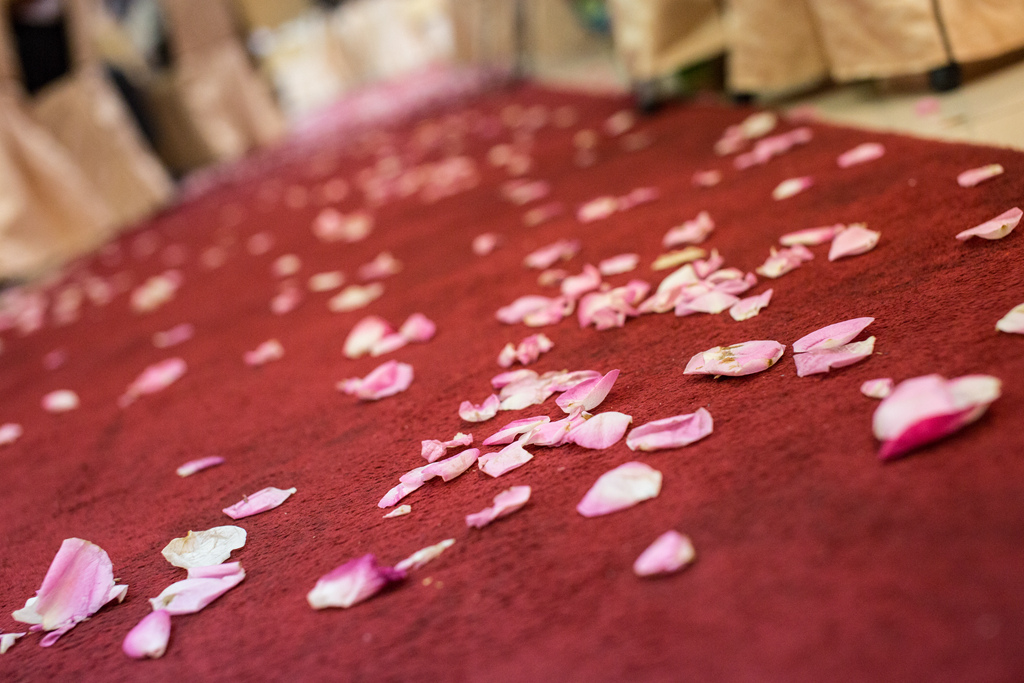 2015-09-13-12h32m56.jpg 2015-09-13-12h32m56.jpg