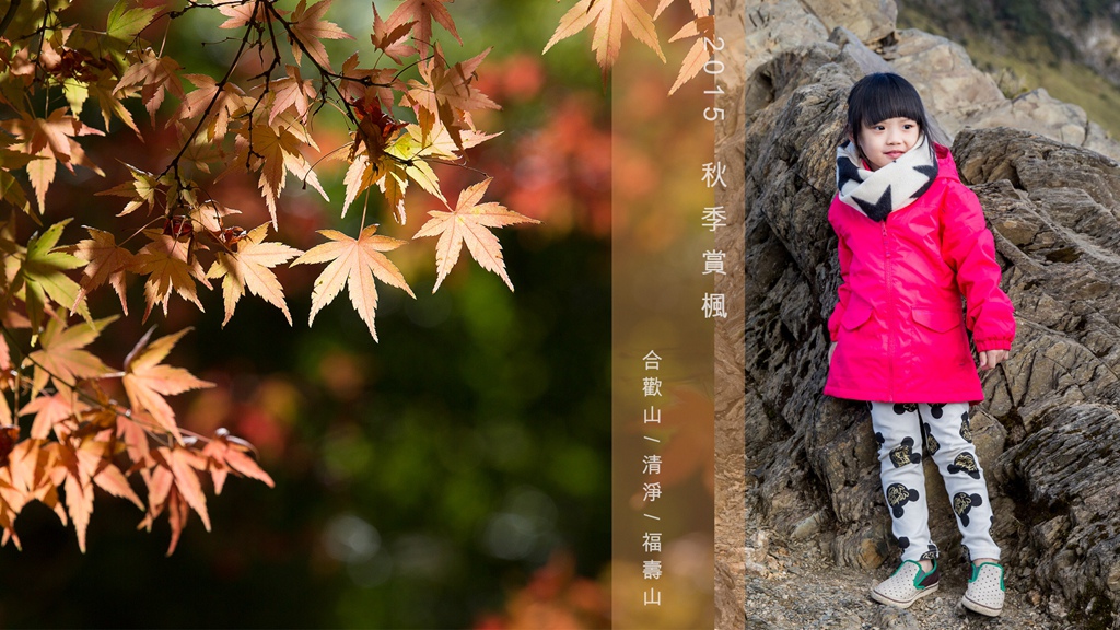 HY6A409.jpg HY6A409.jpg