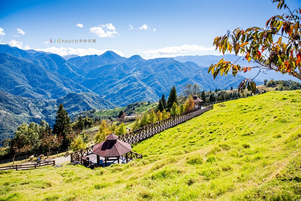 HY6A4011.jpg HY6A4011.jpg