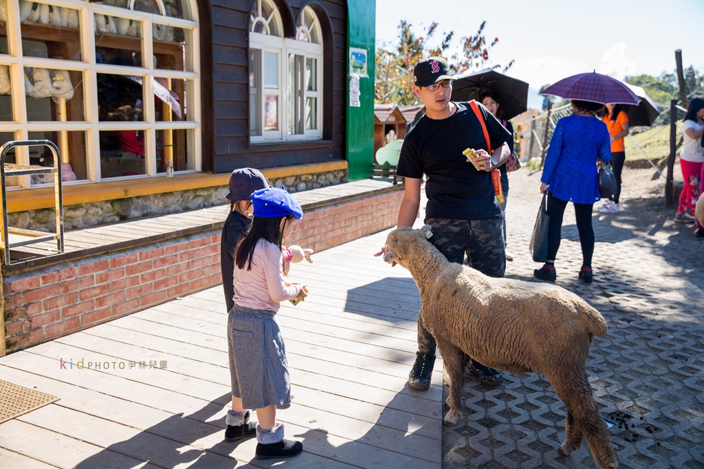 HY6A4028.jpg HY6A4028.jpg