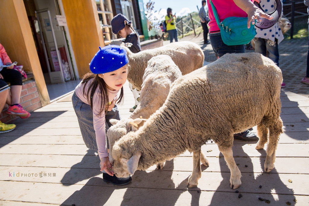 HY6A4043.jpg HY6A4043.jpg