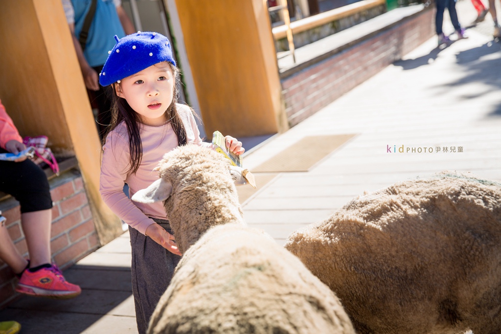 HY6A4047.jpg HY6A4047.jpg