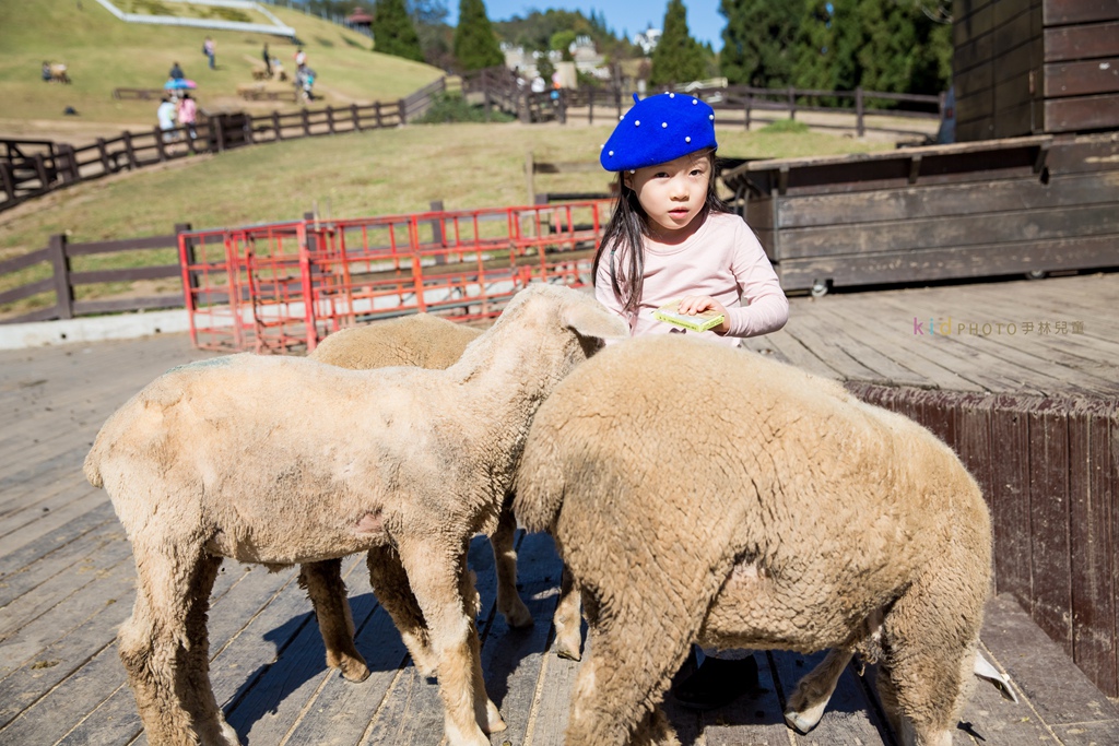 HY6A4069.jpg HY6A4069.jpg