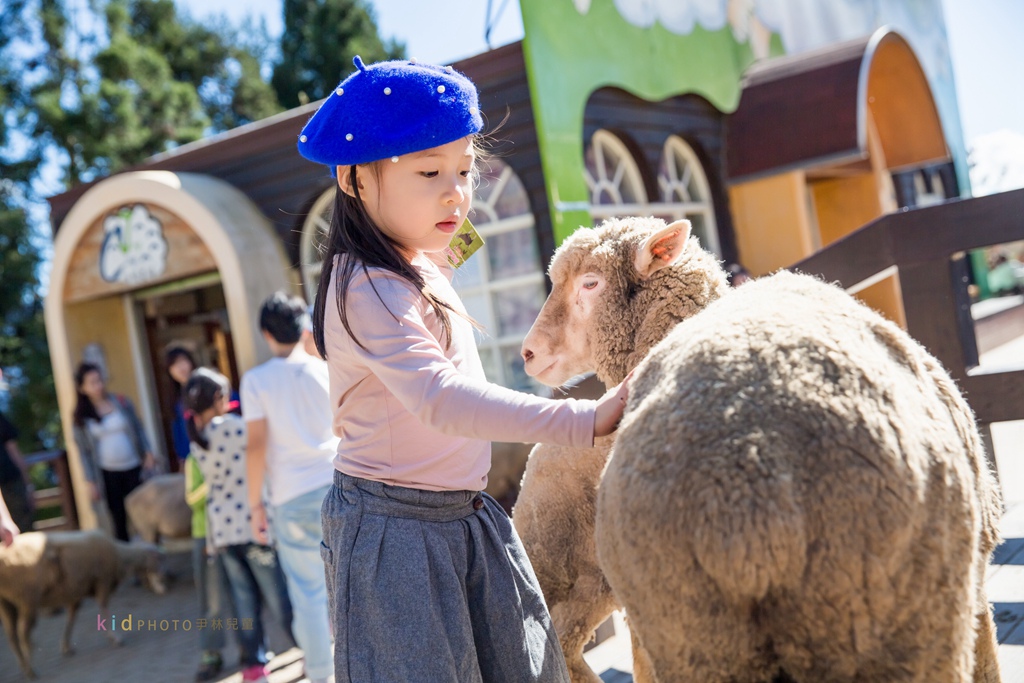 HY6A4089.jpg HY6A4089.jpg