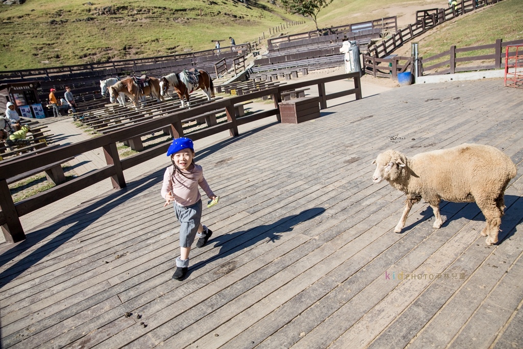 HY6A4092.jpg HY6A4092.jpg