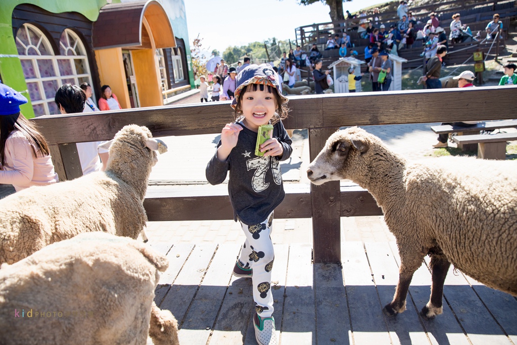 HY6A4098.jpg HY6A4098.jpg