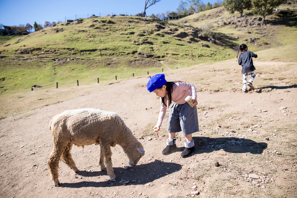 HY6A4101.jpg HY6A4101.jpg