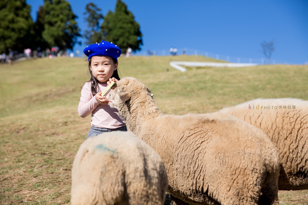 HY6A4123.jpg HY6A4123.jpg