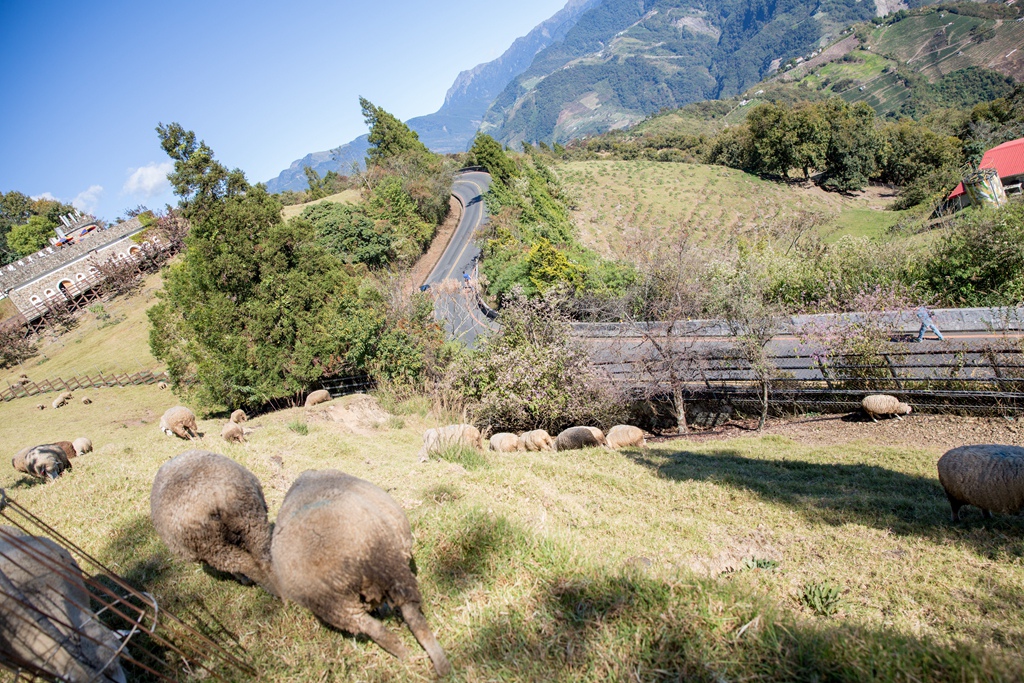 HY6A4181.jpg HY6A4181.jpg