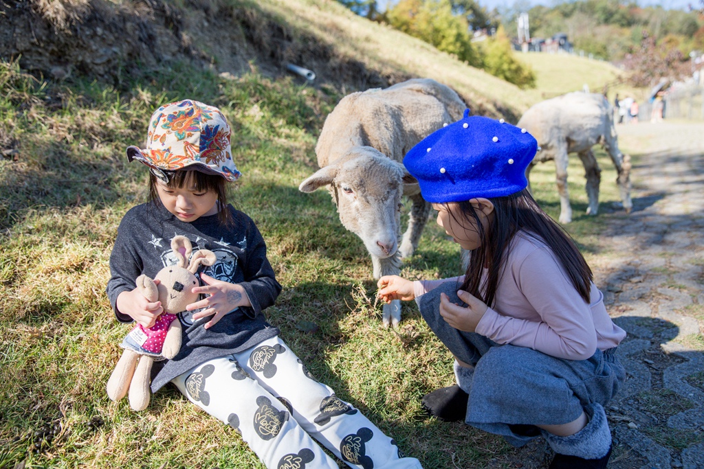 HY6A4183.jpg HY6A4183.jpg